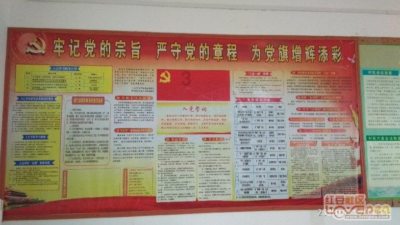 燃烧吧大脑免广告最新版